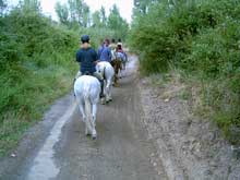 caballos turismonegratin
